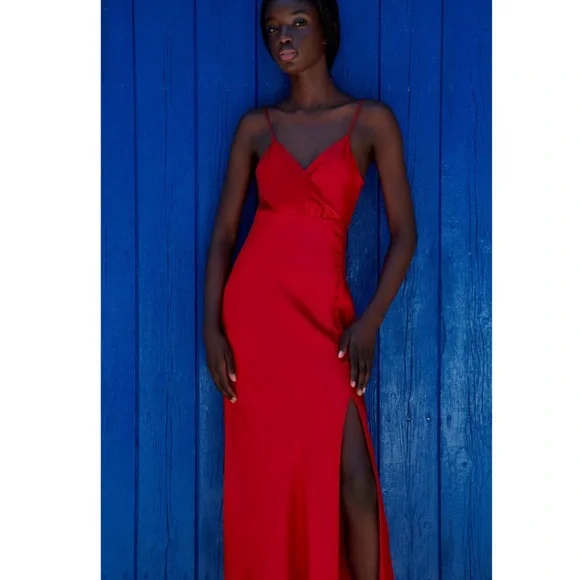 Zara Midi Dress - Picture 3 of 12